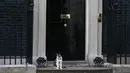 Larry, kucing yang menjabat sebagai "Kepala Pemburu Tikus"  duduk di luar kantor PM Inggris, Downing Street 10 di London, Rabu (13/7). Meski David Cameron mundur sebagai PM Inggris, Larry tetap tinggal bersama PM baru, Theresa May. (JUSTIN Tallis/AFP)
