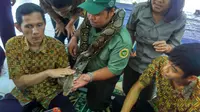 Ada tiga satwa liar yang diperkenalkan secara khusus kepada para siswa tunanetra saat berkunjung ke Kebun Binatang Bandung. (Liputan6.com/Arie Nugraha)