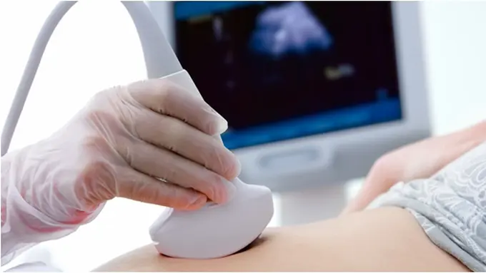 Copyright by Shutterstock.com