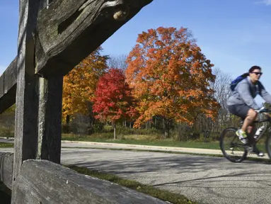 Seorang pengendara sepeda melewati deretan pohon berwarna-warni di Hutan Lindung Lakewood dekat Wauconda, Illinois, Amerika Serikat, 13 Oktoer 2020. (Paul Valade/Daily Herald via AP)
