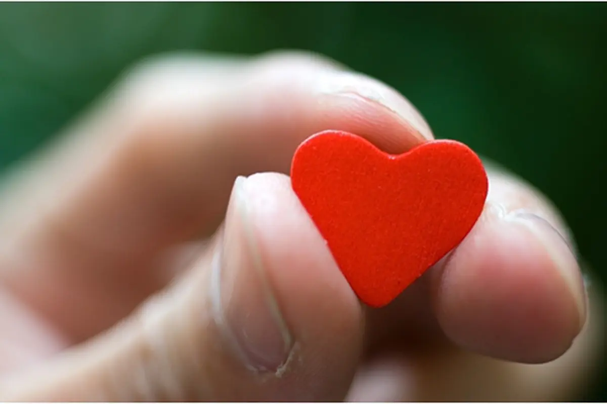 Courtesy ShutterStock.com
