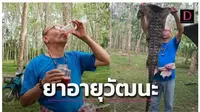 Seorang pengusaha asal Thailand meminum darah buaya agar tetap bugar (Tangkapan layar dari website Ghanamma.com)