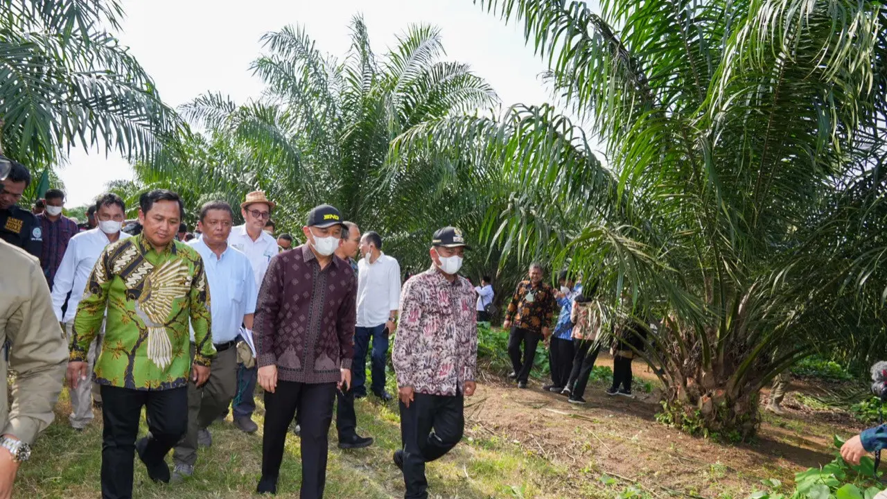 Menteri Koperasi dan UKM (MenKopUKM) Teten Masduki mengajak para petani sawit bergabung ke dalam koperasi sawit. Dok Kemenkop UKM