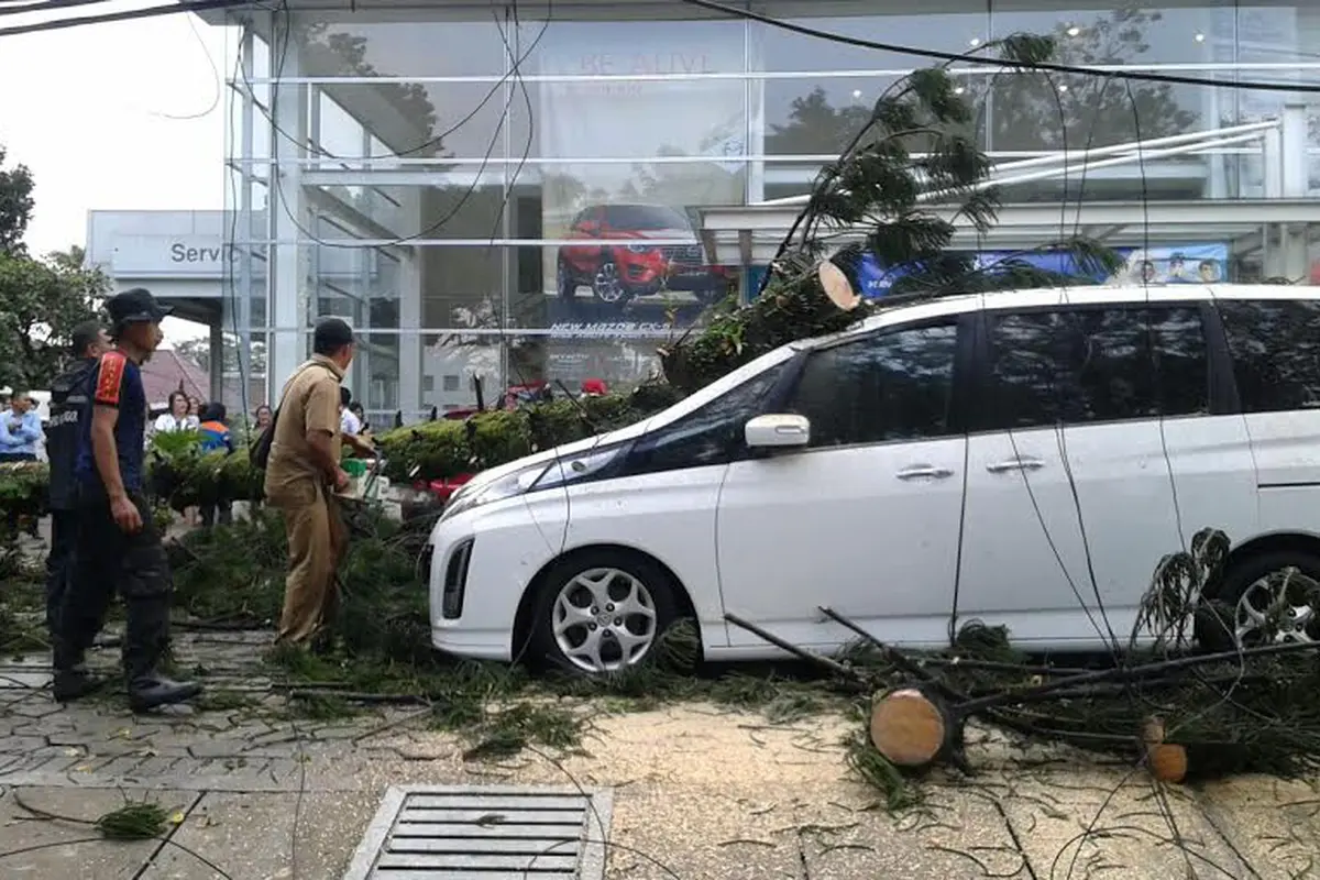 Pohon tumbang di Bogor timpa mobil