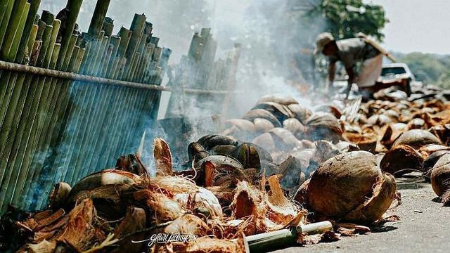 Tradisi Unik Lebaran di Indonesia Binarundak di Sulawesi Utara