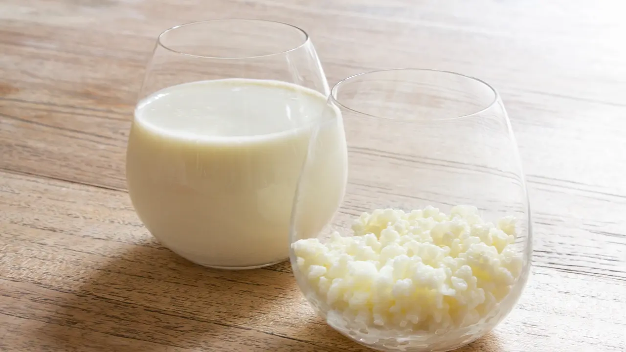 kefir