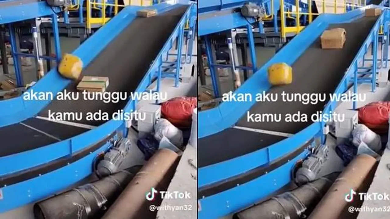 Viral, Ini Penampakan Kocak Paket yang Enggak Kunjung Sampai Ini Bikin Geleng Kepala