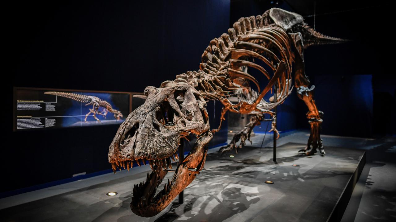 Mengapa T-Rex Memiliki Lengan Kecil?