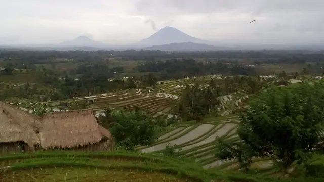 sawah berundak di Jatiluwih, Tabanan