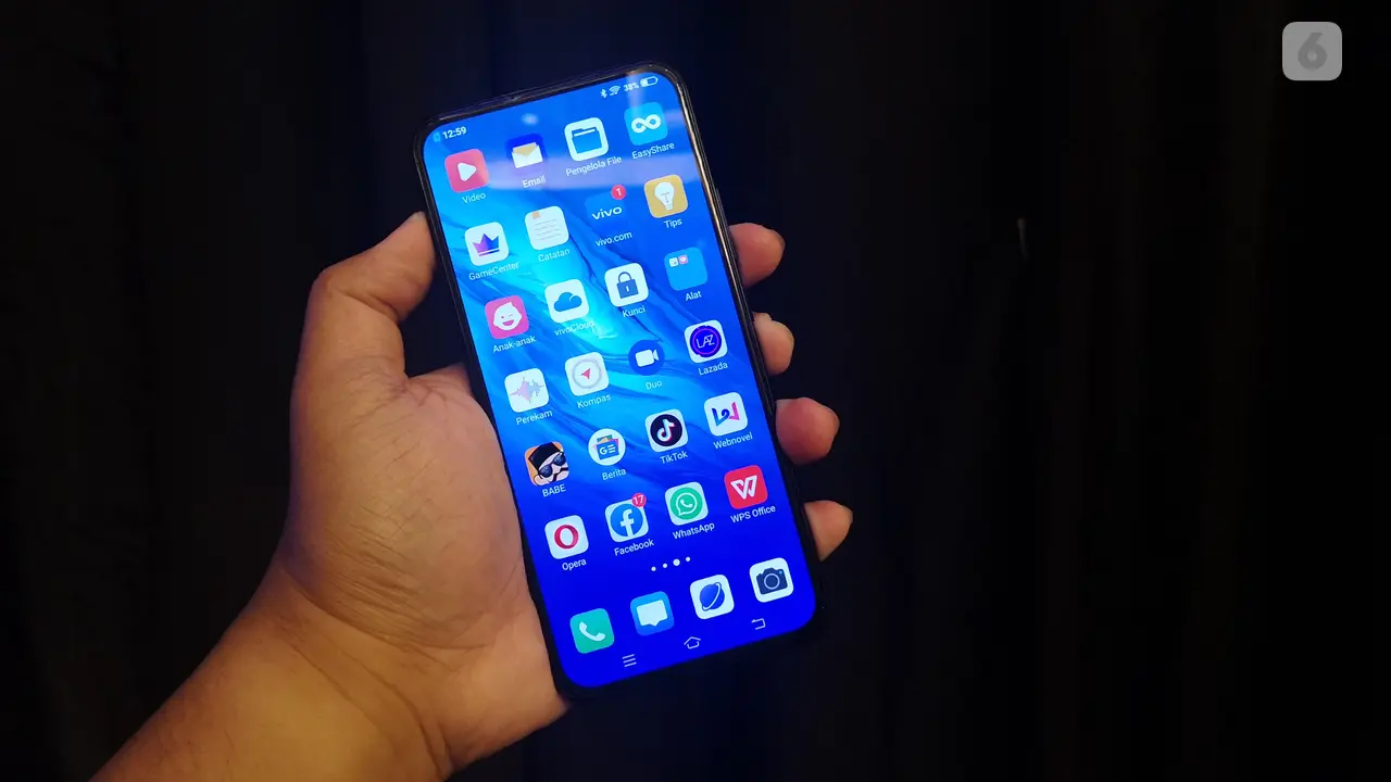 Vivo