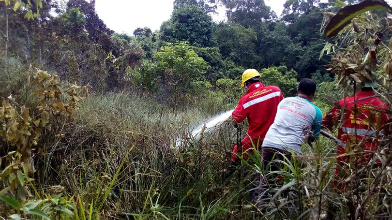 Manggala Agni Padamkan Kebakaran Hutan