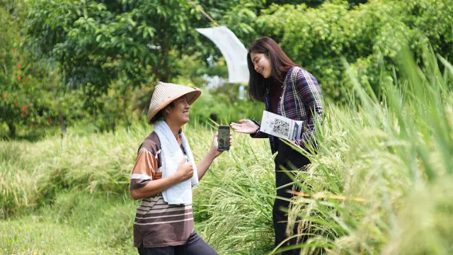 Riset BRI Ungkap Dampak Positif KUR, Dorong Pertumbuhan UMKM Secara Signifikan