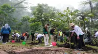 Gerakan tanam pohon di kawasan Tahura R Soerjo pada Kamis, 25 November 2021. Ini adalah salah satu dari sekian banyak gerakan tanam pohon usai bencana banjir bandang di Kota Batu (Kominfo Kota Batu)