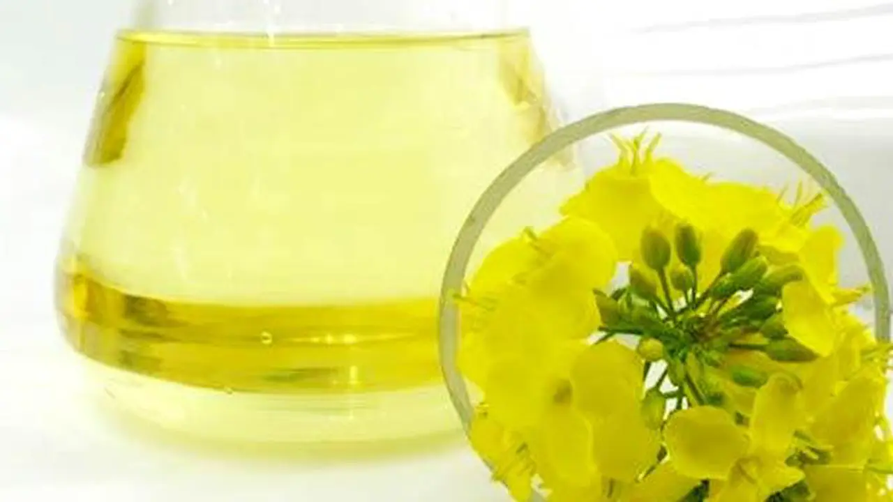 Ini Dia “Minyak Emas” Untuk Kesehatan Masakan