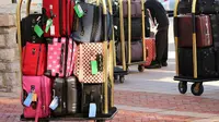Untuk kegiatan travelling ini tas yang cocok adalah jenis tas ransel, karena tas jenis ini bisa membawa barang yang lebih banyak.
