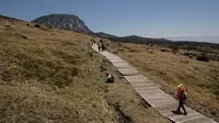 Pejalan kaki berjalan di depan puncak Hallasan, atau gunung Halla, di pulau Jeju, Korea Selatan (9/5/2019). Pulau Jeju adalah satu-satunya provinsi berotonomi khusus Korea Selatan. (AFP Photo/Ed Jones)