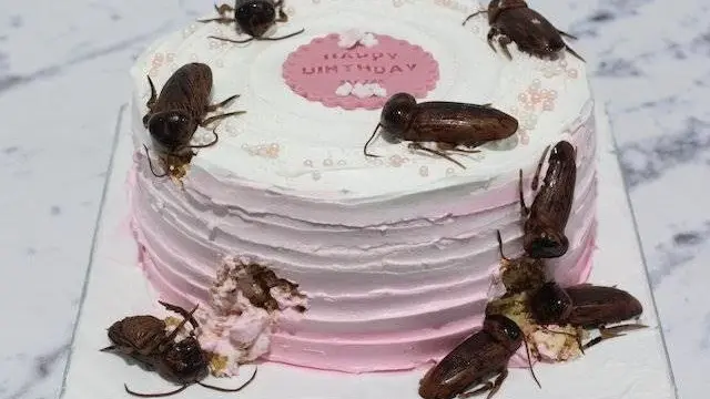 Aksi Orang Saat Prank Dengan Berbagai Benda Ini Malah Bikin Kesel