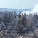 Cairan Pemadam Brasil Diuji di Kebakaran Hutan, Ini Hasil Awalnya