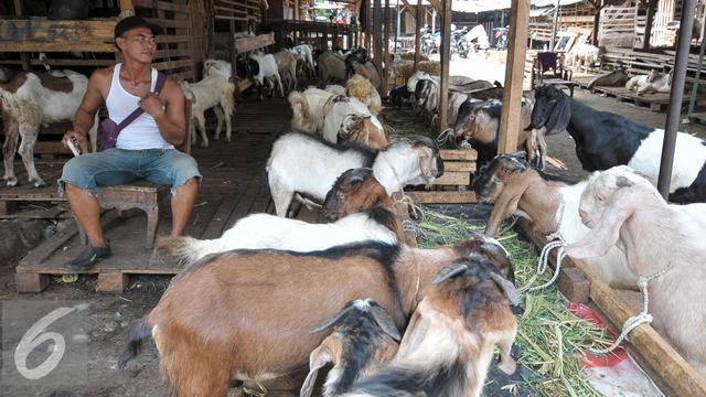 Penjualan Kambing Kurban Di Kebon Sirih Jakarta Pusat Menurun News Liputan6 Com