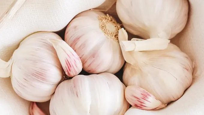 copyright unplash.com/Gaelle Marcel