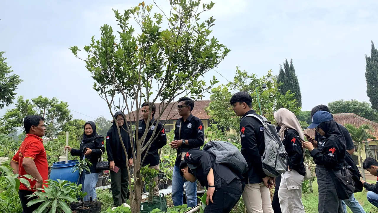 Mahasiswa pertanian Universitas Garut (Uniga) tengah melakukan praktek lapangan transformasi teknologi melalui pola okulasi tanaman bibit unggul jeruk Garut. (Liputan6.com/Jayadi Supriadin)