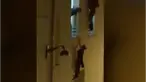 Seorang wanita hamil tertangkap kamera saat meminta tolong setelah bom menggemparkan kota Paris. 