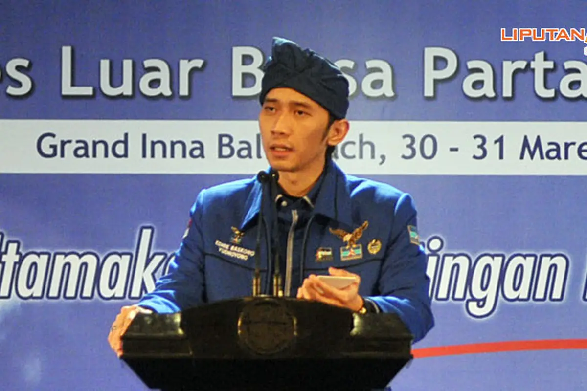 ibas-2-130330b.jpg