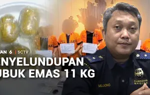 Penyelundupan Bubuk Emas 11 Kilogram ke Singapura Digagalkan!