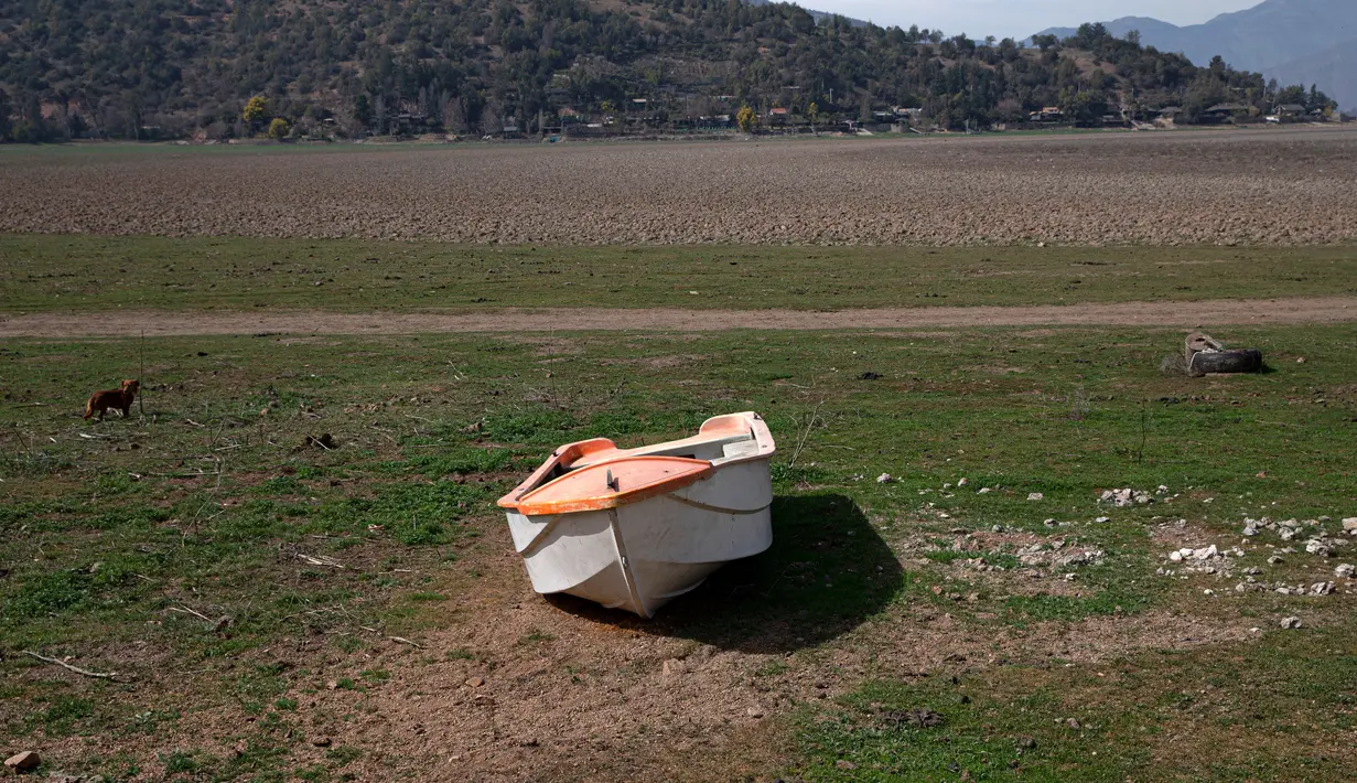 Sebuah perahu terparkir di Danau Aculeo Lagoon yang mengering, Paine, Chile, Jumat (23/8/2019). Para pejabat di Chile mengatakan Ibu Kota dan pinggirannya menderita kekeringan terburuk dalam beberapa tahun terakhir. (AP Photo/Esteban Felix)