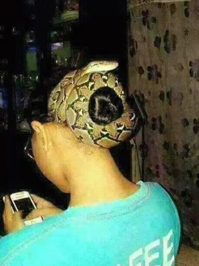 6 Potret Ikat Rambut dari Ular Ini Bikin Bergidik, Ngeri Banget