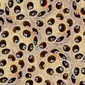 Ilustrasi Trypophobia. (iStockphoto)