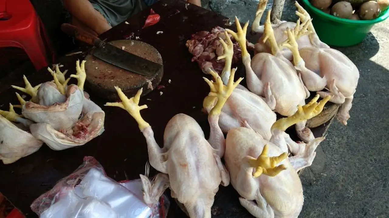 Lapak penjual ayam di Pasar Kebayoran Lama, Jakarta Selatan. (Maulandy/Liputan6.com)