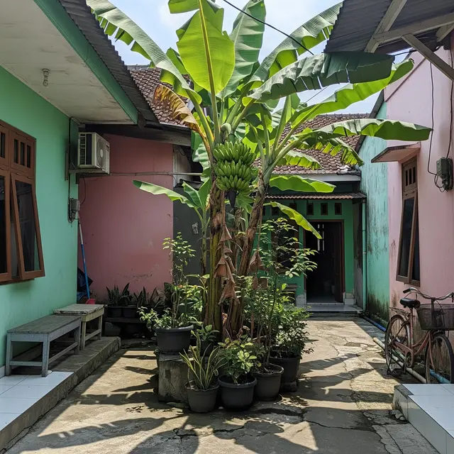 Pisang