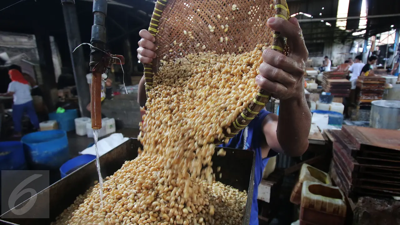20160106-2016, Produksi Kedelai Dalam Negeri Sulit Meningkat