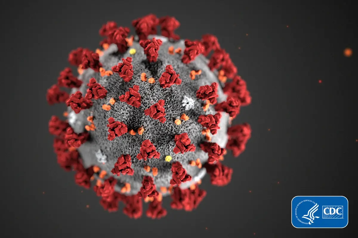[FEATURE] Ancaman Virus Corona