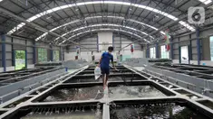 Pekerja membawa ikan mas koki yang dijual di Pusat Koi dan Maskoki Nusantara, Raiser Ikan Hias Cibinong, Bogor, Jawa Barat, Sabtu (9/10/2021). Kementerian Perikanan dan Kelautan (KKP) membangun Pusat Koi dan Maskoki Nusantara di Raiser Ikan Hias Cibinong. (merdeka.com/Arie Basuki)