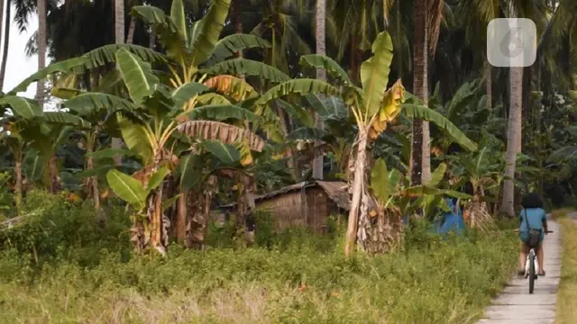 karimunjawa