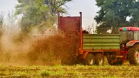 BUMN Ini Butuh US$ 100 Juta/Bulan untuk Impor Bahan Baku Pupuk