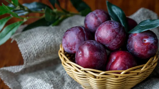 buah plum