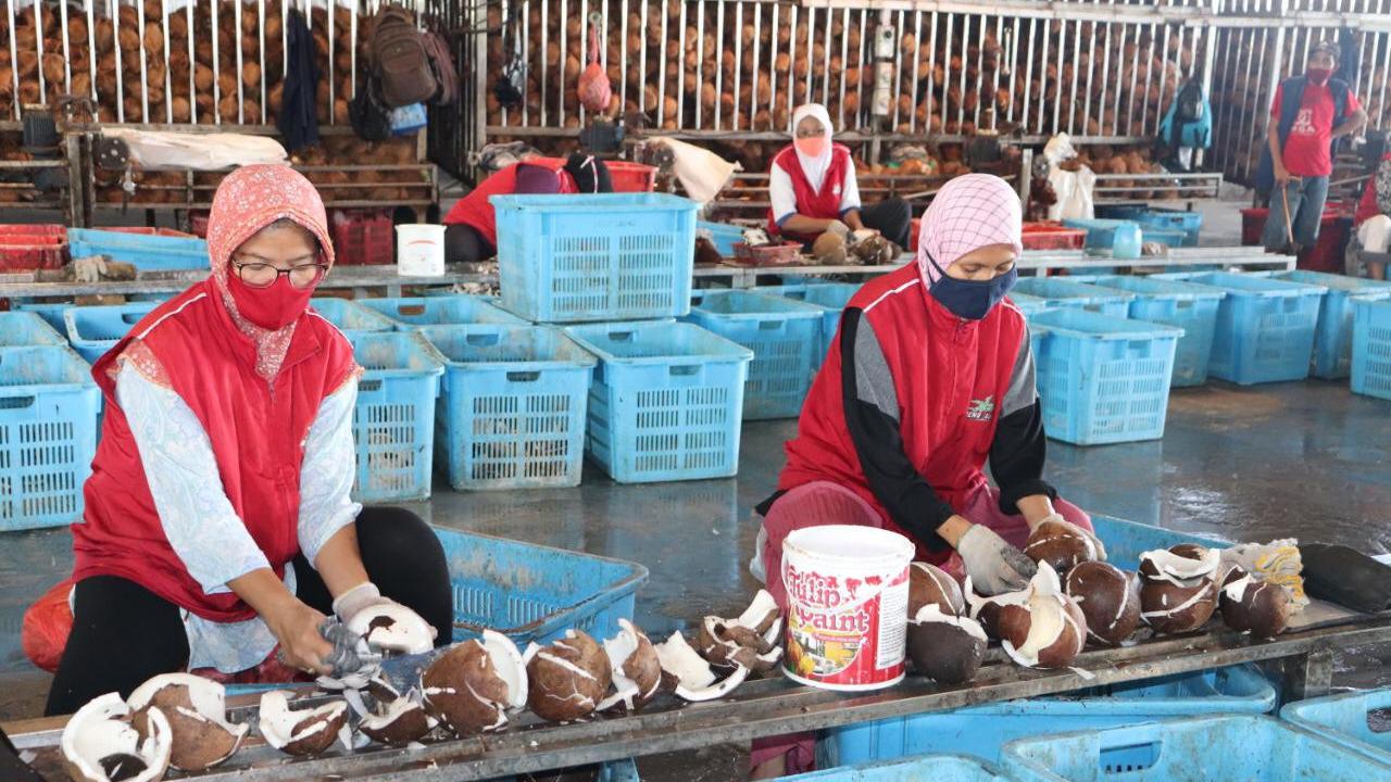 Ekspor Olahan Kelapa Indonesia