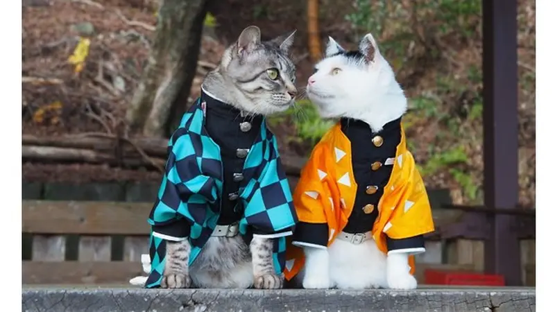 6 Kucing Pakai Baju Karakter Anime Demon Slayer Ini Gemas Banget