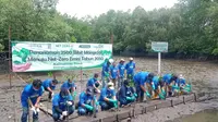 Penanaman mangrove oleh Indika Group di Balikpapan Kaltim.