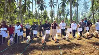 Penanaman jagung secara integrasi pada kebun kelapa di Kelurahan Bengkol, Kecamatan Mapanget, Kota Manado ini sebagai upaya optimalisasi lahan kelapa untuk meningkatkan produksi jagung nasional/Istimewa.