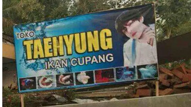 6 Cara Kreatif Jualan Ikan Cupang Ini Bikin Pembeli Kaget