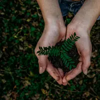 Ilustrasi Hari Bumi. (dok. Unsplash/ Noah Buscher)