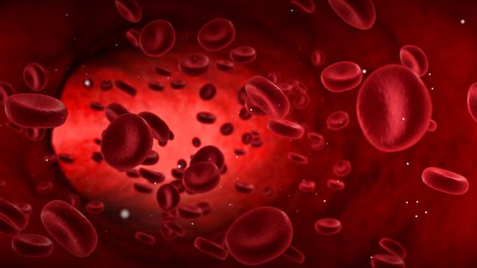 Antisipasi Leukemia dengan Mengenali Penyebabnya (Donfiore/Shutterstock)