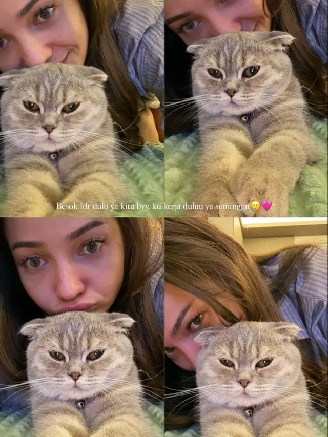 Momen Enzy Storia dan Molen Kasetra membagikan cerita manis bersama seekor kucing betina jenis Scottish Fold bernama Phoebe (Instagram/@enzystoria)