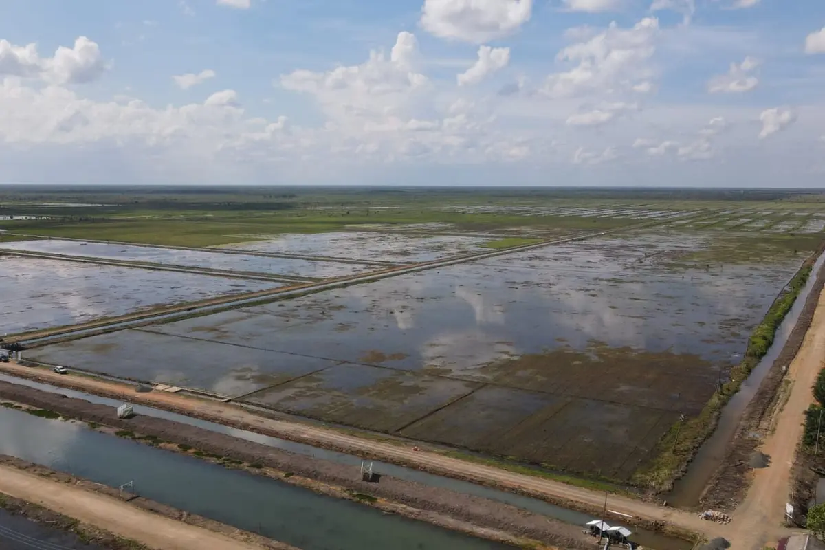 Kementerian Pekerjaan Umum dan Perumahan Rakyat (PUPR) terus mendukung pengembangan program food estate di Kalimantan Tengah (Kalteng)