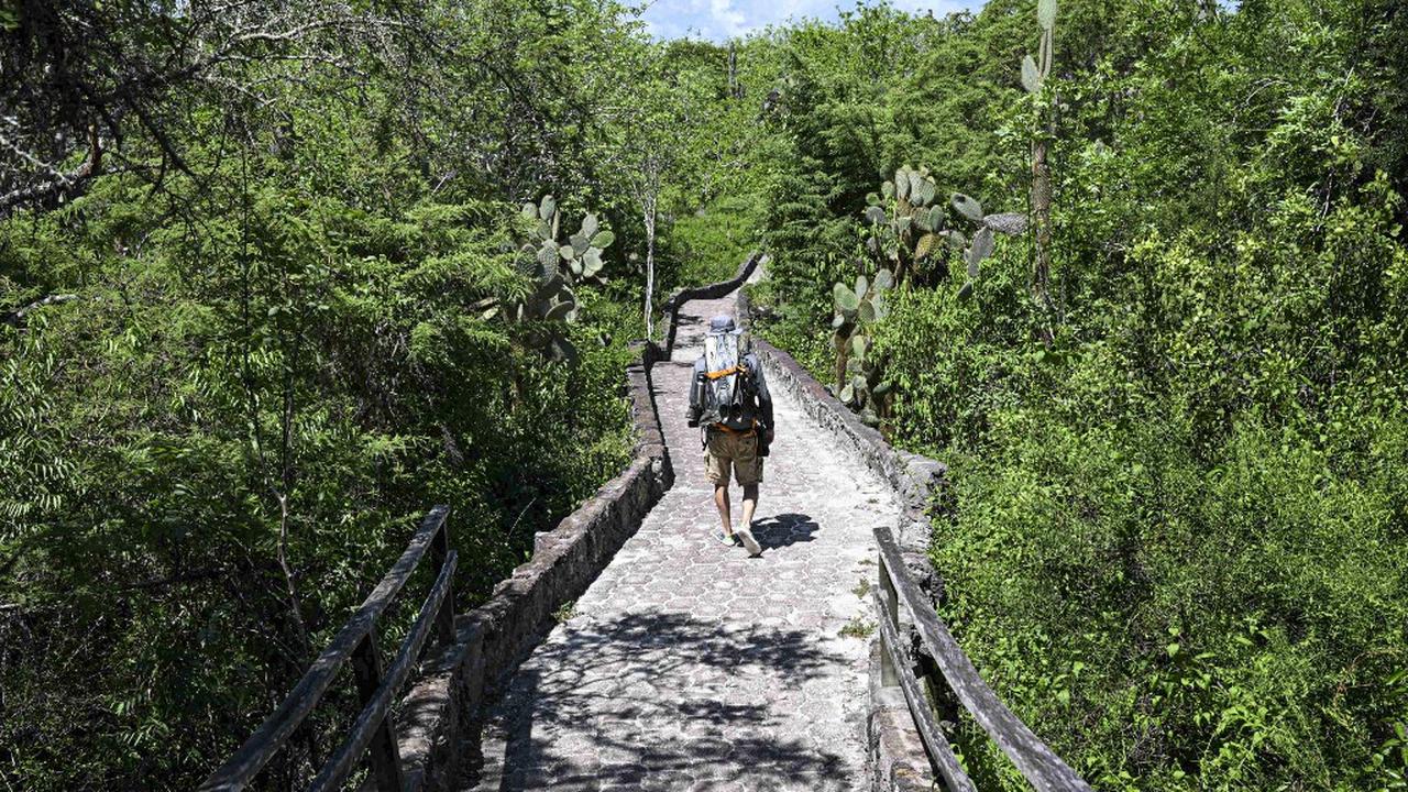 Harga Tiket Masuk Kepulauan Galapagos Naik 2 Kali Lipat Mulai Agustus 2024, Kenaikan Pertama Sejak 1998