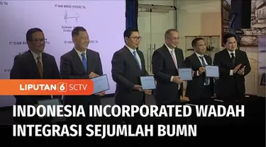 Kementerian Badan Usaha Milik Negara (BUMN) membentuk Indonesia Incorporated untuk memperkuat daya tembus ke pasar internasional. Langkah ini sekaligus sebagai bentuk sinergitas perusahaan-perusahaan plat merah di bawah naungan BUMN.